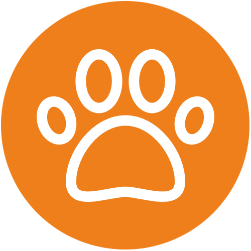 ANIMALS MODELS